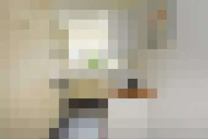 Godetiaweg 66 Den Haag thumbnail 29
