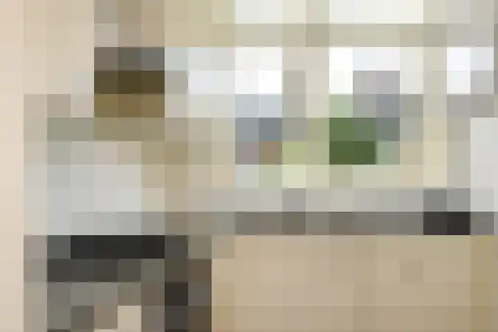 Godetiaweg 66 Den Haag thumbnail 30