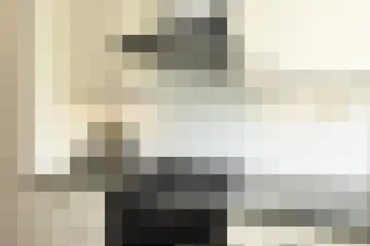 Godetiaweg 66 Den Haag thumbnail 31