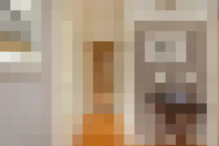 Godetiaweg 66 Den Haag thumbnail 32