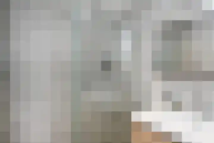 Godetiaweg 66 Den Haag thumbnail 33