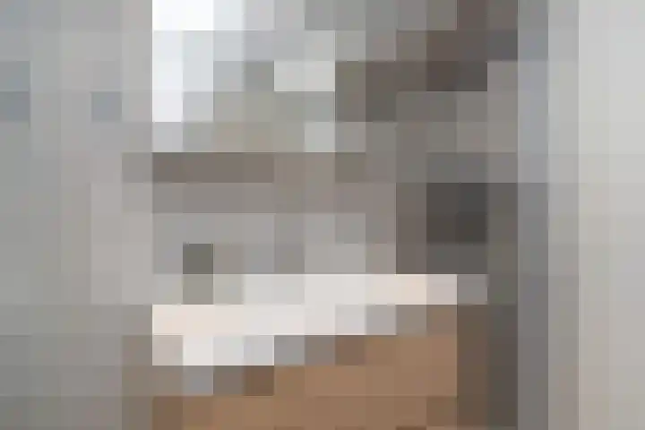 Godetiaweg 66 Den Haag thumbnail 34