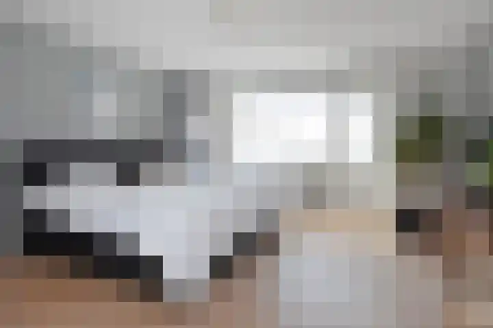 Godetiaweg 66 Den Haag thumbnail 4