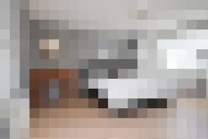 Godetiaweg 66 Den Haag thumbnail 43