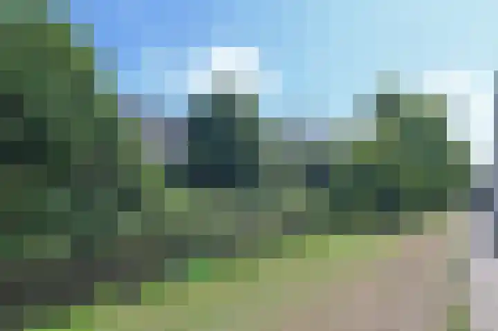 Godetiaweg 66 Den Haag thumbnail 51
