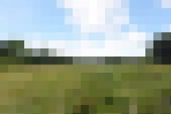 Godetiaweg 66 Den Haag thumbnail 57
