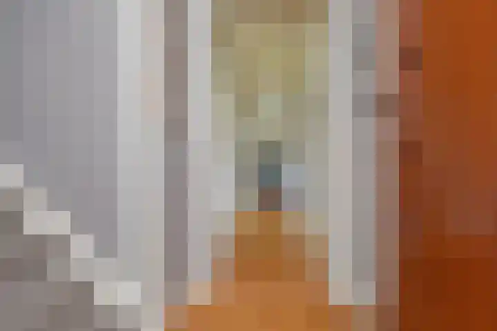 Godetiaweg 66 Den Haag thumbnail 7