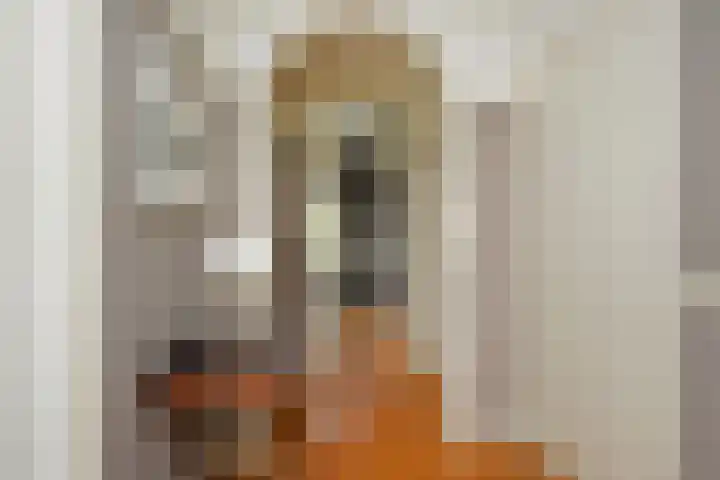 Godetiaweg 66 Den Haag thumbnail 8
