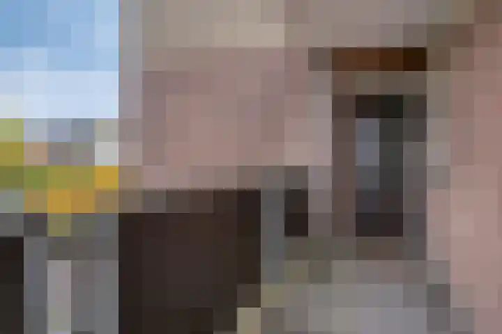 Godevaert Montensstraat 2 C24 Breda thumbnail 5