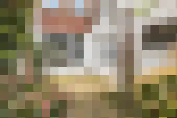 Godevaert Montensstraat 28 Breda thumbnail 32