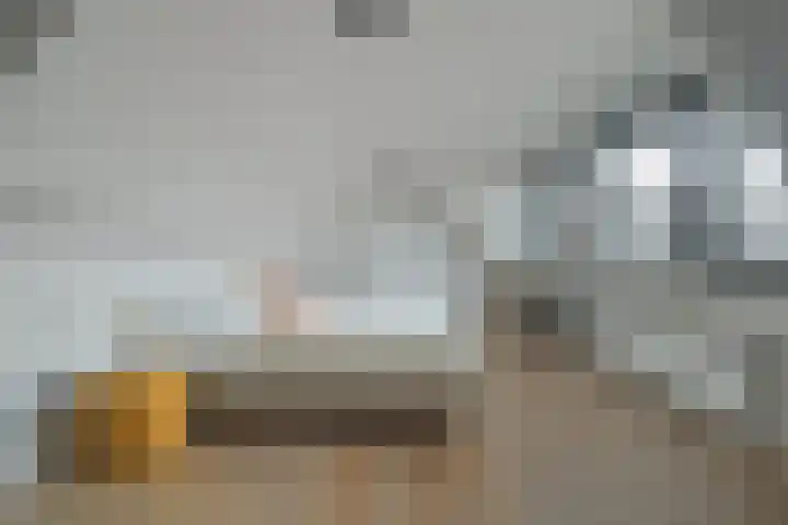 Godevaert Montensstraat 9 Breda thumbnail 18