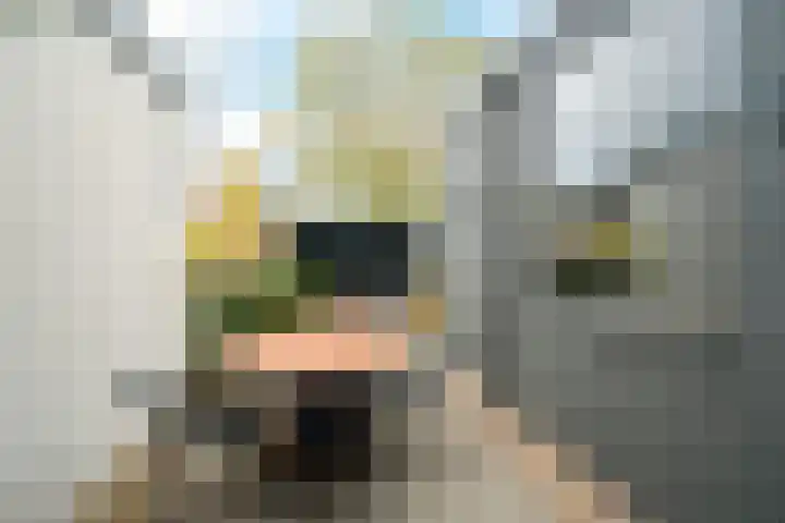 Godevaert Montensstraat 9 Breda thumbnail 22