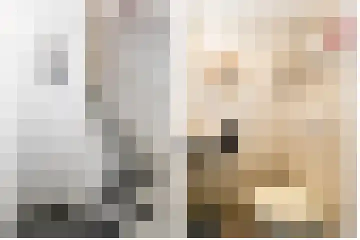 Godevaertshoef 2 Bergambacht thumbnail 10
