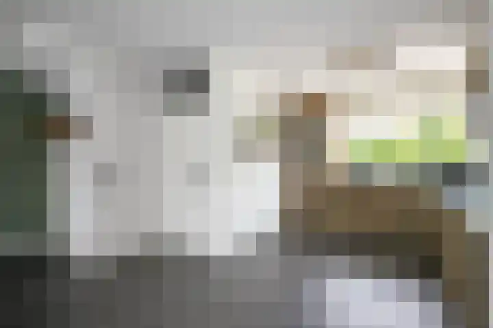 Godevaertshoef 2 Bergambacht thumbnail 11