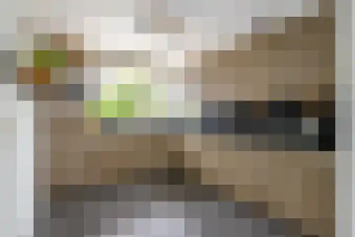 Godevaertshoef 2 Bergambacht thumbnail 12