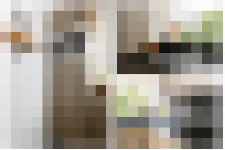 Godevaertshoef 2 Bergambacht thumbnail 13