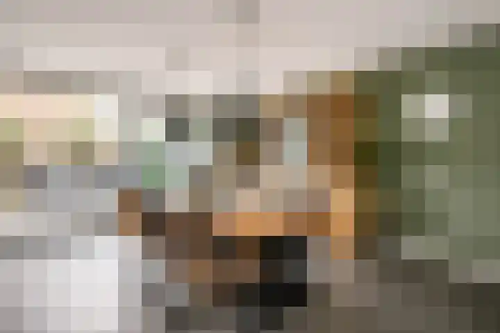 Godevaertshoef 2 Bergambacht thumbnail 16