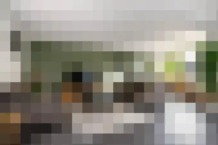 Godevaertshoef 2 Bergambacht thumbnail 19