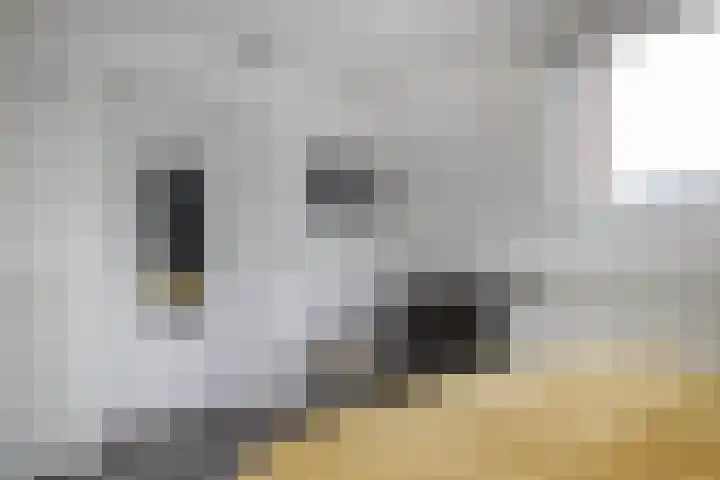 Godevaertshoef 2 Bergambacht thumbnail 24