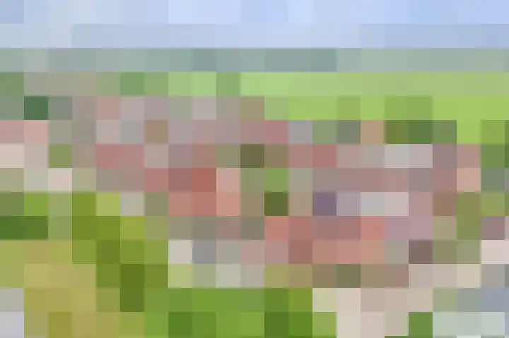 Godevaertshoef 2 Bergambacht thumbnail 35