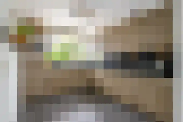Godevaertshoef 2 Bergambacht thumbnail 4