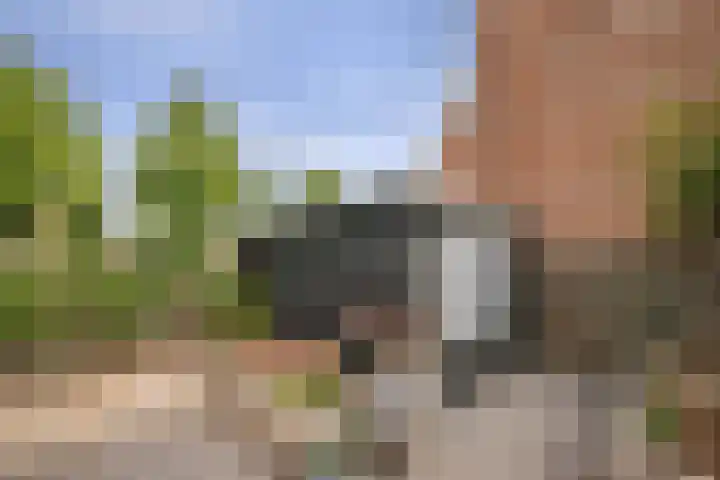 Godevaertshoef 2 Bergambacht thumbnail 41