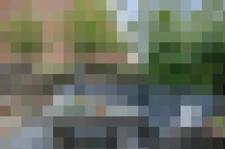 Godevaertshoef 2 Bergambacht thumbnail 43