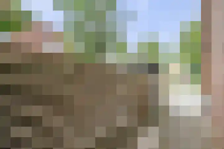 Godevaertshoef 2 Bergambacht thumbnail 44