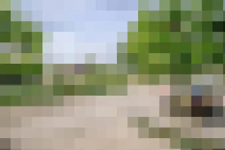 Godevaertshoef 2 Bergambacht thumbnail 6