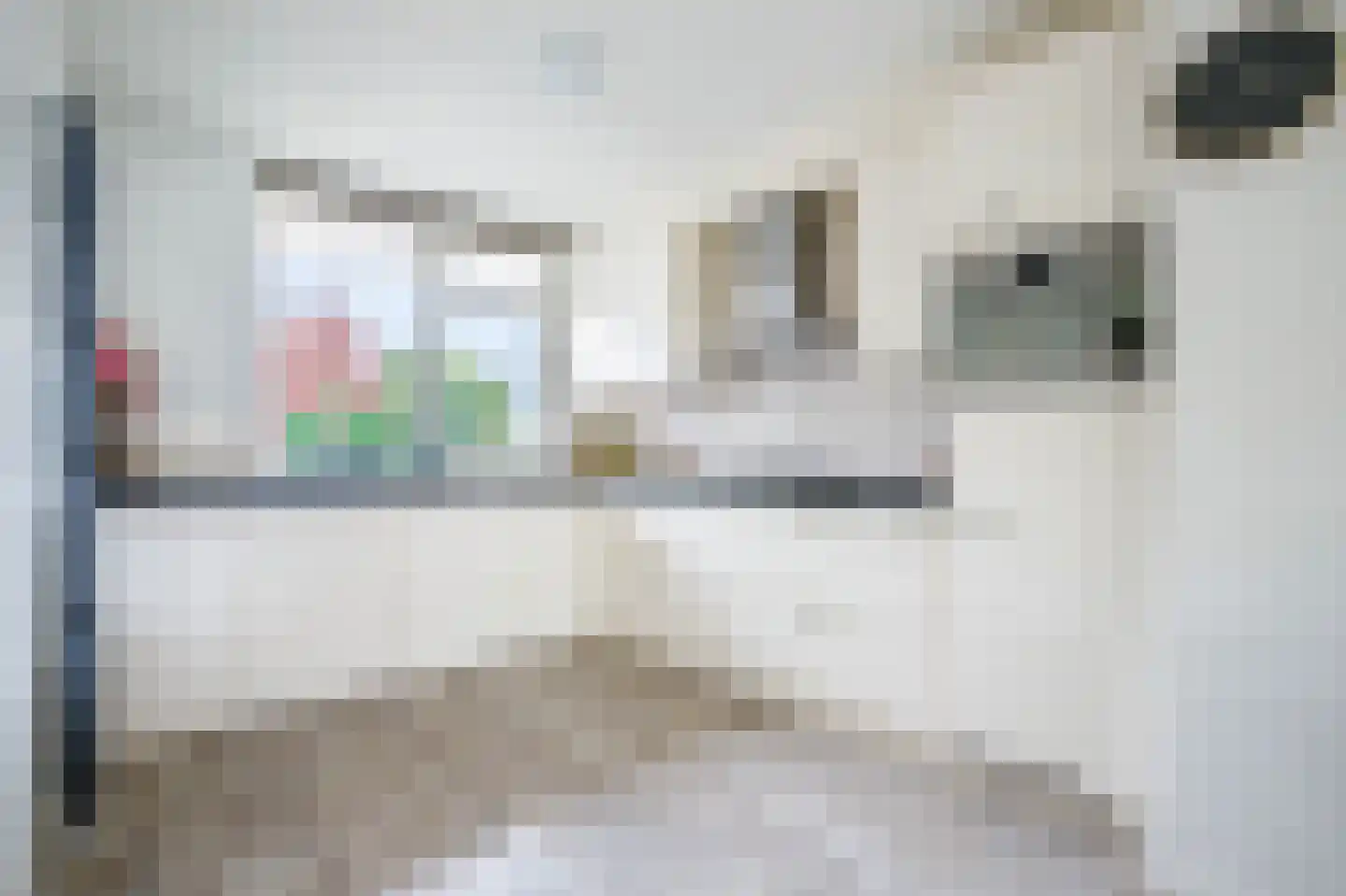 Godevaertshoef 22 Bergambacht thumbnail 13