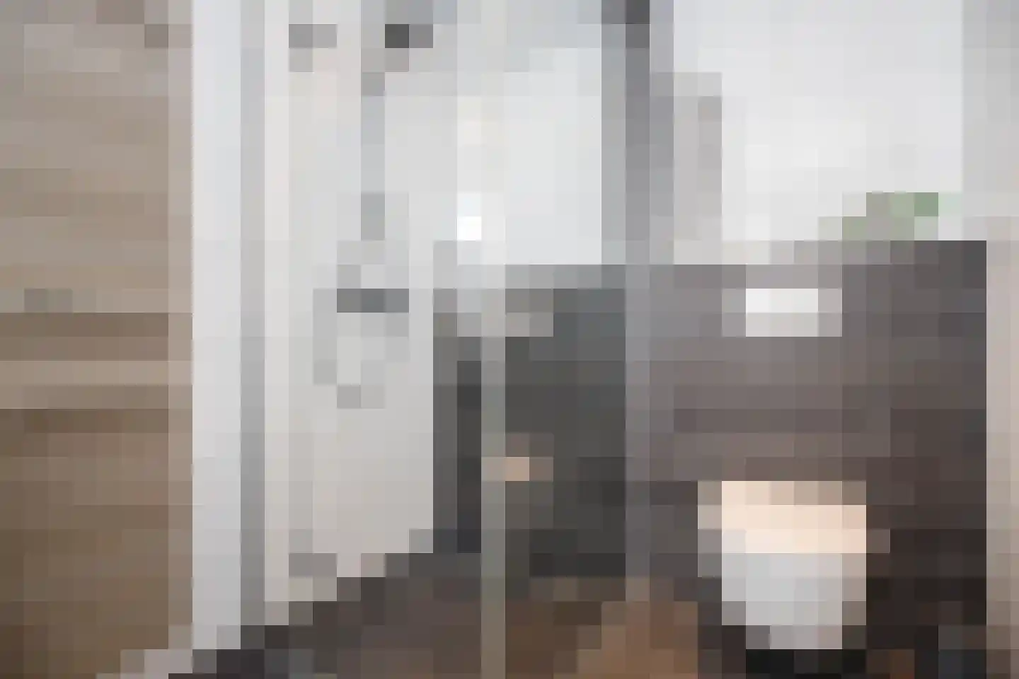 Godevaertshoef 22 Bergambacht thumbnail 19