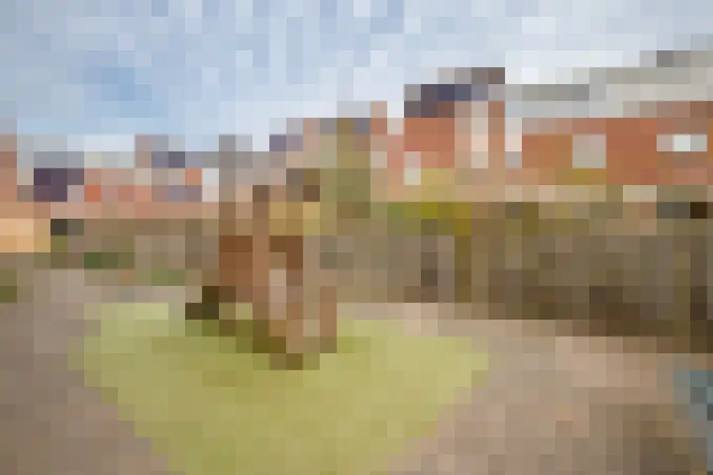 Godevaertshoef 22 Bergambacht thumbnail 33