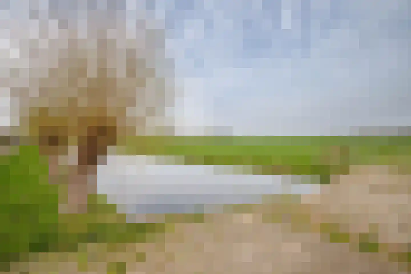 Godevaertshoef 22 Bergambacht thumbnail 35