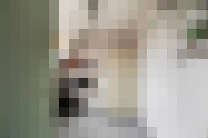 Godevaertshoef 31 Bergambacht thumbnail 23