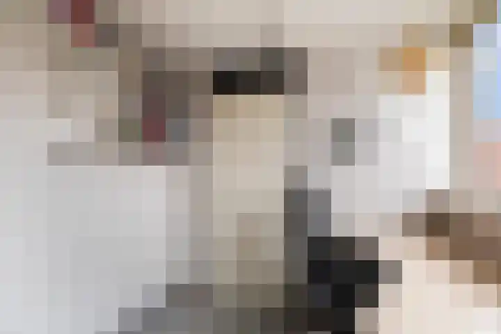 Godevaertshoef 31 Bergambacht thumbnail 24