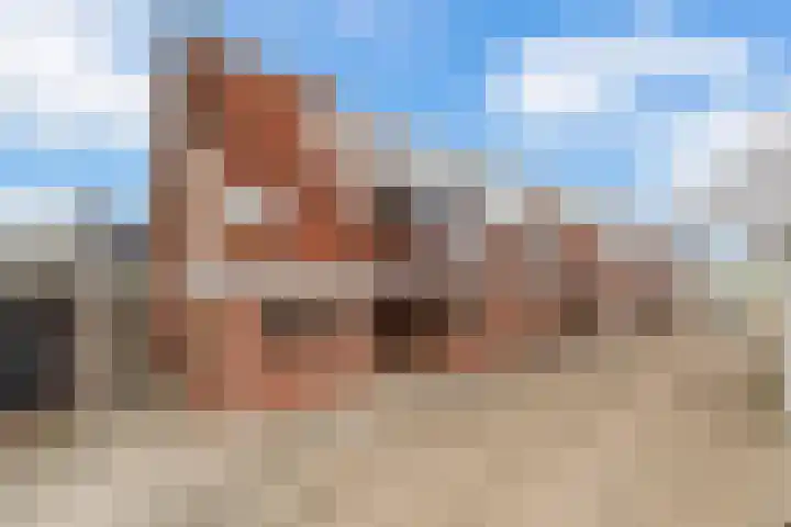 Godevaertshoef 31 Bergambacht thumbnail 29