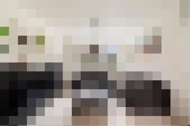 Godevaertshoef 31 Bergambacht thumbnail 4