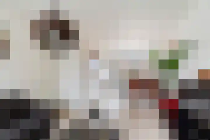 Godevaertshoef 31 Bergambacht thumbnail 5