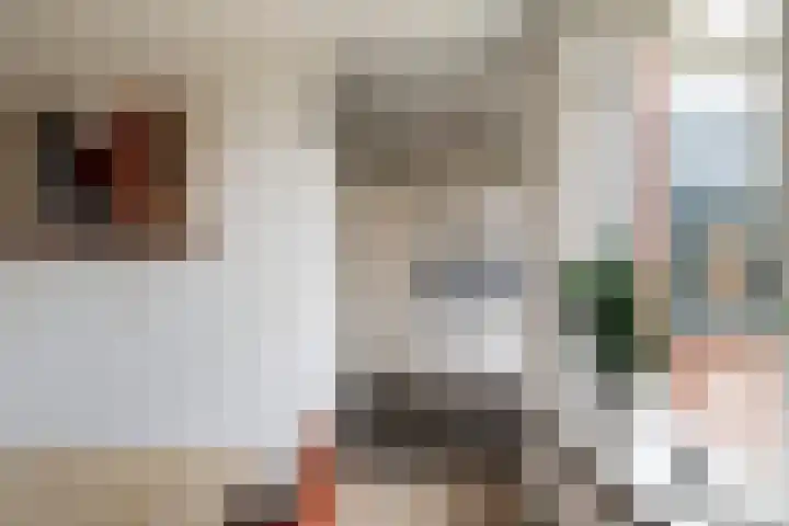 Godevaertshoef 31 Bergambacht thumbnail 7