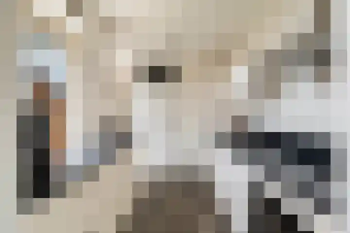 Godevaertshoef 31 Bergambacht thumbnail 8