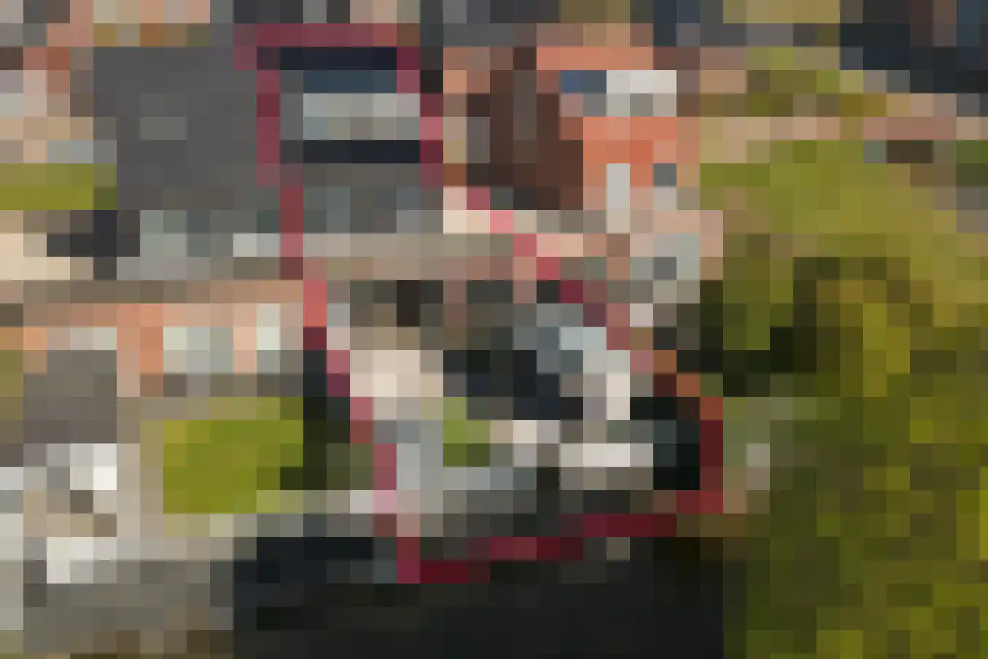 Godfried Bomanshof 3 Grootebroek thumbnail 4