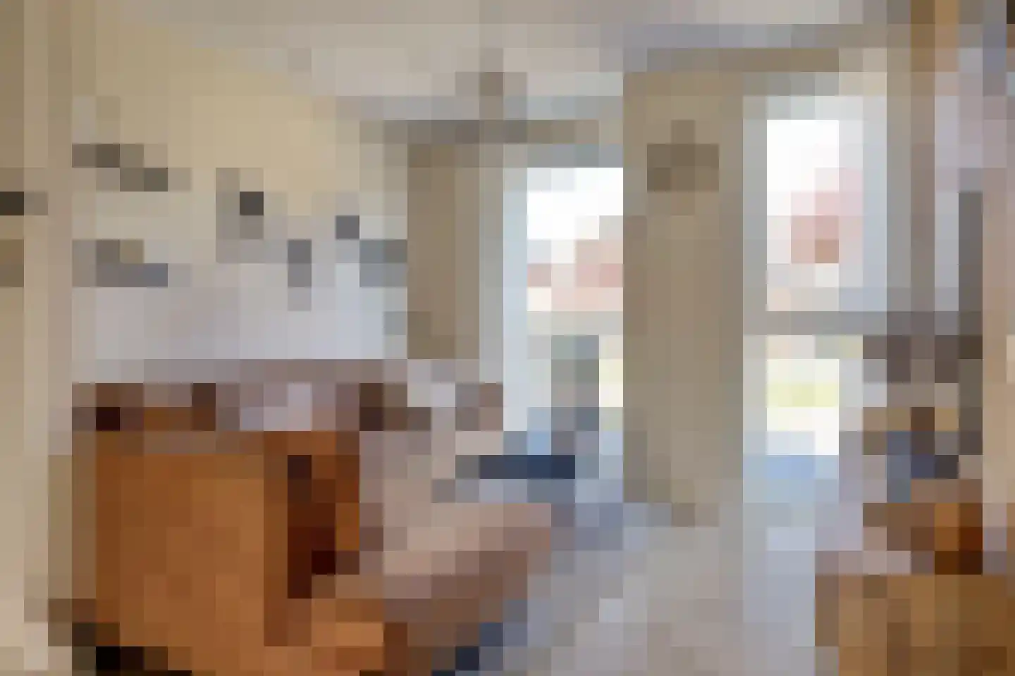 Godfried Bomanshof 3 Grootebroek thumbnail 8