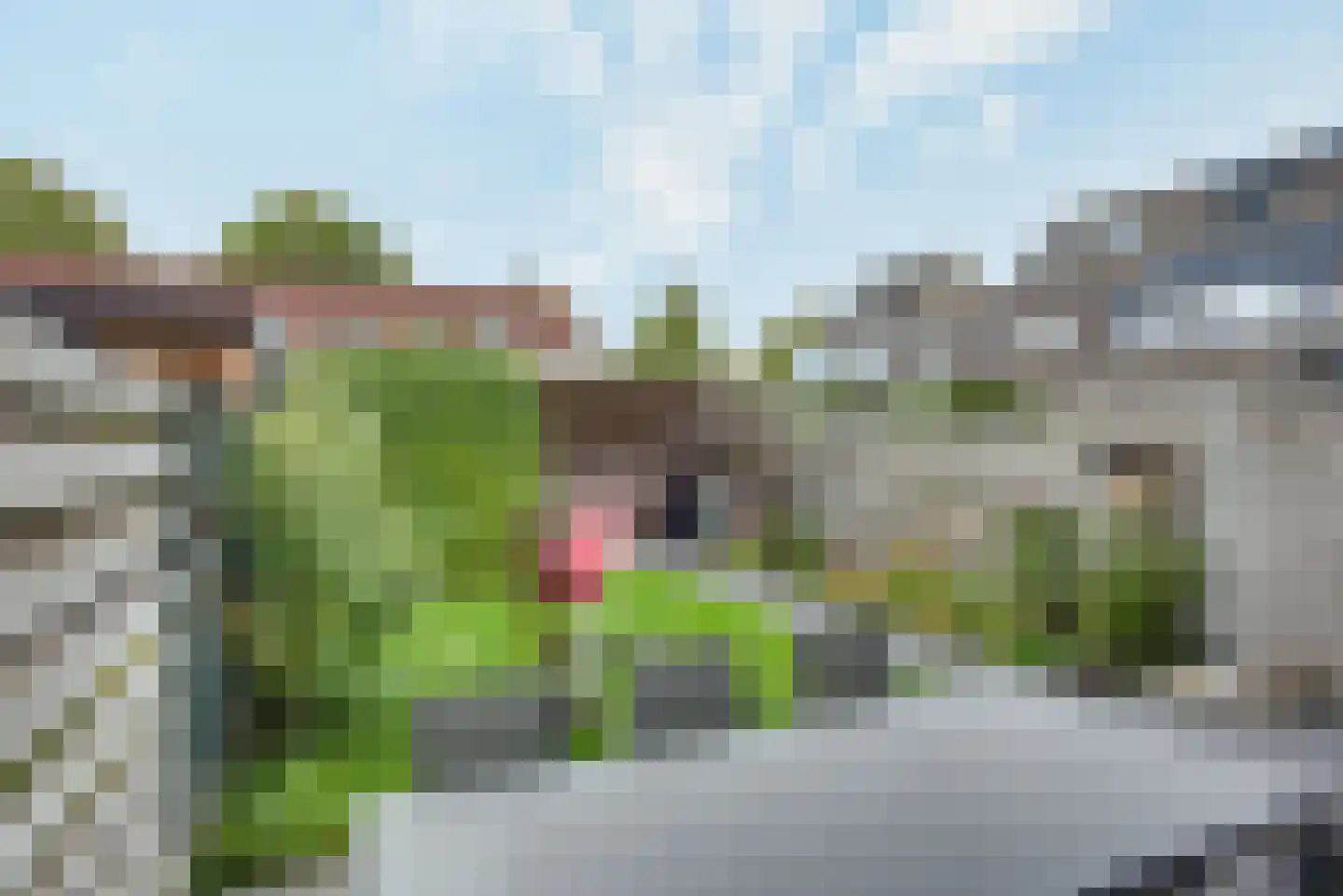 Godfried Bomanslaan 144 Gorinchem thumbnail 14