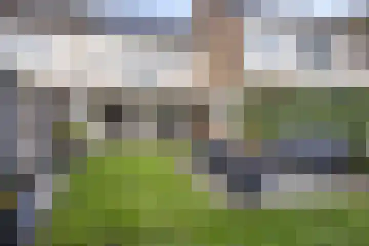 Godfried Bomanslaan 21 Bladel thumbnail 26