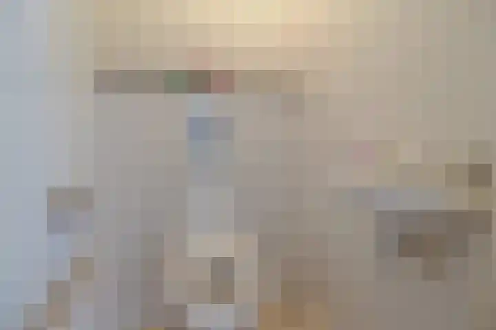 Godfried Bomanslaan 6 Hilvarenbeek thumbnail 10