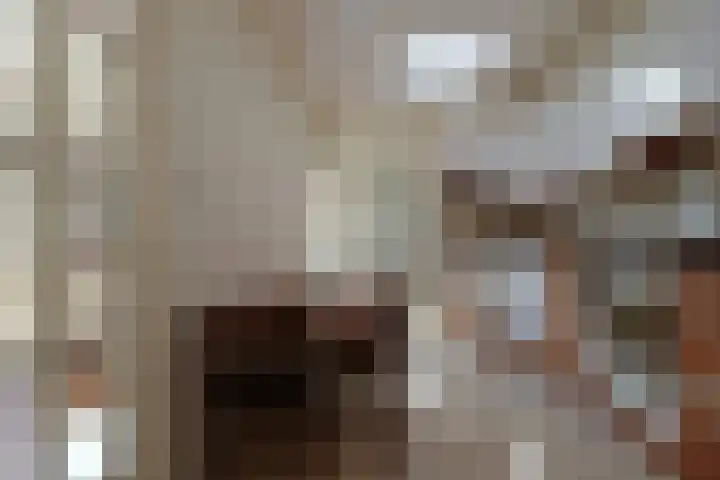 Godfried Bomanslaan 6 Hilvarenbeek thumbnail 11