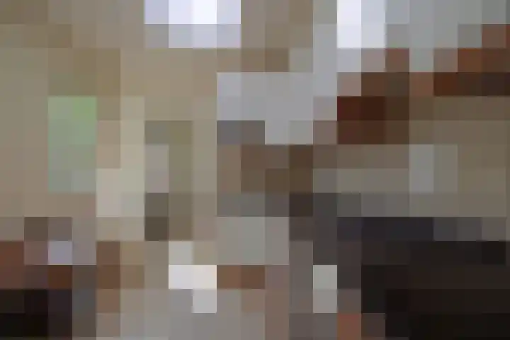 Godfried Bomanslaan 6 Hilvarenbeek thumbnail 12