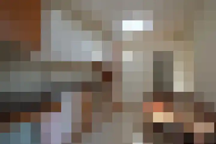 Godfried Bomanslaan 6 Hilvarenbeek thumbnail 13