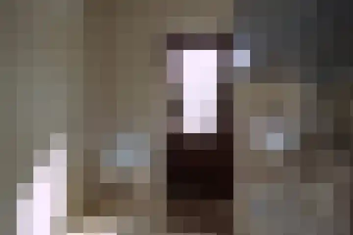 Godfried Bomanslaan 6 Hilvarenbeek thumbnail 15