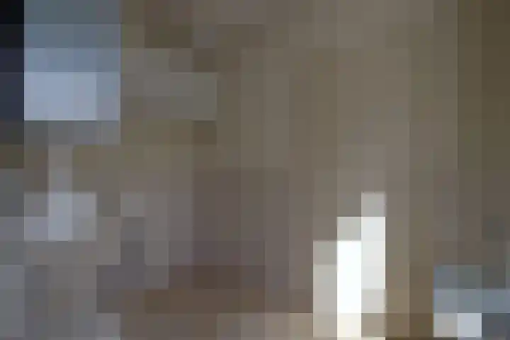 Godfried Bomanslaan 6 Hilvarenbeek thumbnail 16